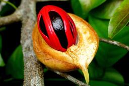 Multi days tours in Zanzibar