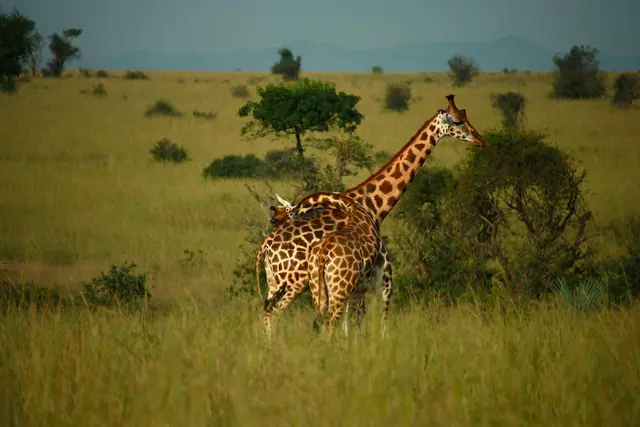 Serengeti National Park
