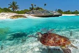 Multi days tours in Zanzibar