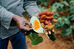 Multi days tours in Zanzibar